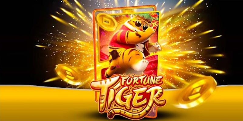Quem é o Fortune Tiger 522betbet.Com